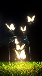 24,395 free images of butterflies. Fantasy Butterfly Jar Android Wallpaper Free Download