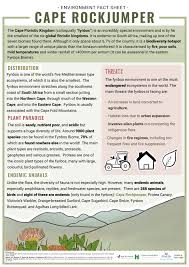 Para já, vai promover um debate inclusivo no terreno. E Newsletter 2021 Birdlife South Africa