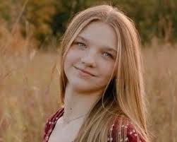 Meet the Greater Lansing high school gymnastics Dream Team, all-area