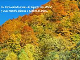 Voi muri fara sa fi invatat nimic, afon in muzica din sufletul oamenilor, pentru vina de a fi purtat prea multa vreme casti, sau pentru ca am vorbit prea tare, prea mult prea devreme. Ppt Mihai Eminescu CÄƒlin File Din Poveste LecÅ£ie IntroductivÄƒ Clasa A Vii A Powerpoint Presentation Id 5266894