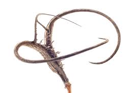 After his previous band, the stooges collapsed, iggy pop (the stage name of james newell osterberg, jr.) initially struggled to. The Old Reader