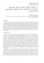 Image result for Aporrhiza paniculata