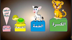 2 قواعد كتابة الهمزة الهمزة المتوسطة Youtube