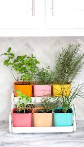 Make A Colorful Indoor Herb Garden A Beautiful Mess Balcony Herb Gardens Indoor Herb Garden Indoor Vegetable Gardening