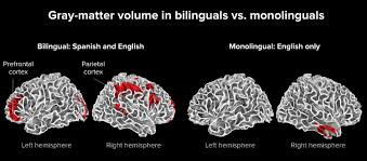 How A Second Language Can Boost The Brain Being Bilingual Benefits Children As They Learn To Speak And Adults As Language Transfer Second Language Language