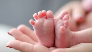 That Covid 19 Baby Boom Might Be More Of A Bust