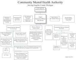 27 unfolded home health organizational chart