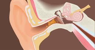 If you are among the lot who do not belong to this category, this blog will help you understand how to clean your ears in a safe and painless manner. The Right Way To Clean Your Ears
