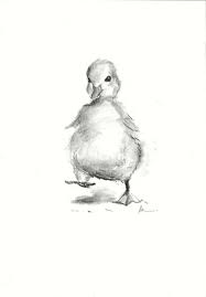 Draw wings and add details in the mouth. Sk H Realistic Baby Duck Drawing Novocom Top