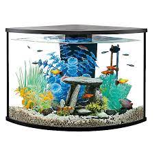 Check spelling or type a new query. Top Fin Corner Tank Aquarium Starter Kit 6 Gallon Fish Starter Kits Petsmart