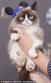 We Re The Real Fat Cats Meet The World S Richest Pets With Vast Fortunes That Most Humans Can Only Dream About Daily Mail Online