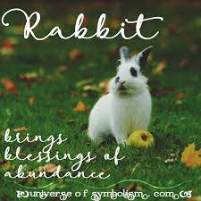 It also symbolizes selfless and sacrificing nature of the individual. Rabbit Symbolism Rabbit Meaning Rabbit Spirit Totem Animal