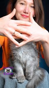 #rx_g We need a name starting with R for our future queen and we’ll be very  grateful for your suggestions! She’s a black smoke daughter of 🏁Hemi  Cuda!❤️I want to express my deep gratitude to everyone ...