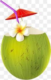 Cartoon Coconut Juice Cartoon Clipart Coconut Clipart Summer Drink Png Transparent Clipart Image And Psd File For Free Download Coconut Vector Summer Drinks Cartoon Clip Art