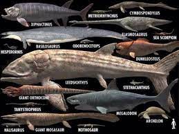 Lived during the middle jurassic period. Leedsichthys Leeeedsichthys Walking With Dinosaurs Prehistoric Prehistoric Creatures