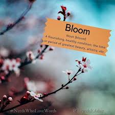 Bloom Nerdswholovewords Wordoftheday Photo By Nitishmeena On Unsplash Noun Bloom Definition A Flourishing Health Words Matter Cool Words Word Nerd