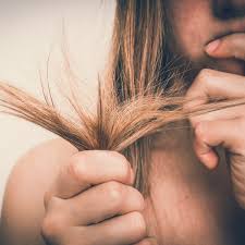 Put the moisture back into dry hair by warming up 1/2 cup olive oil (do not boil it), and then rubbing it into your hair. Dry Hair Driving You Nuts Add This To Your Routine Today S Mama