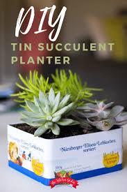 This diy hanging succulent planter is a quick and easy way to bring succulents into your home by using just a bowl, cord, and an embroidery hoop! Diy Tin Succulent Planter The Kitchen Garten
