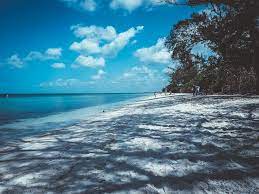 | meaning, pronunciation, translations and examples Was Ist Die Florida Red Tide Und Ist Sie Fur Menschen Gefahrlich Travelpurrfect De