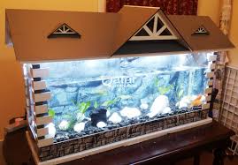 Maybe you would like to learn more about one of these? Download Fish Tank Roof Ideas Images Fishtankfacts Com