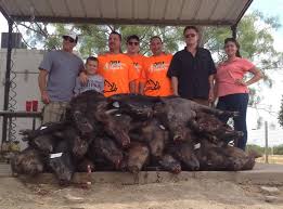Maybe you would like to learn more about one of these? Hog Hunts In Texas Wild Hog Hunting 4 Amigos Ranch