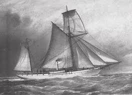 Image result for Diplacrum africanum