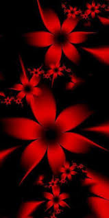 Wallpapers Flower Iphone Android Red And Black Wallpaper Flower Phone Wallpaper Red Flowers