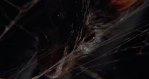 Sound in motion — origin unknown. Of Unknown Origin 1983 Rat Race