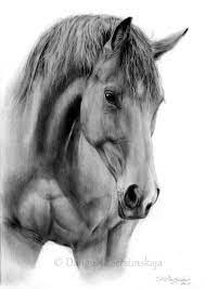 Maybe you would like to learn more about one of these? Wordpress Com Horse Drawings Horse Painting Animal Drawings