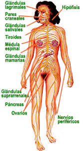 Ciencias Naturales Y Desarrollo Humano Sexto Grado