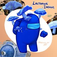 Among Us Fanart Among Us Among Us Art Art Fall Guys Fall Guys Among Us Fall Guys Game Among Us Game Game Fall Guys X Am Cute Art Cute Wallpapers Chibi