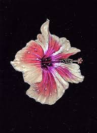 Suzy S Fine Art Black Paper Drawing Flower Drawing Pencil Drawings Of Flowers