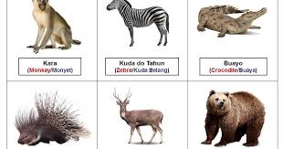 Khas untuk pemancing tegar sahaja. Tanak Vagu Kadazan Dusun Tazam Tosizau Wild Animals Binatang Liar Animals Wild Animals Wild