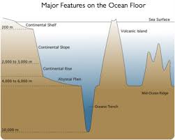 The Ocean Floor Ck 12 Foundation Drawing ocean floor from berserk on. the ocean floor ck 12 foundation