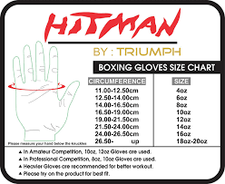 Hitman By Triumph Boxing Gloves Force Blue