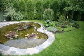 Herzformig Gartenteich Gruner Rasen Pflegen Tipps Steine Anlegen Gartenteich Gartenteich Bilder Garten Landschaftsbau