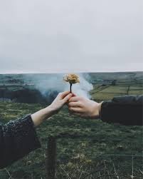 The sweet couple goal will make our life happier and cuter. Aesthetic Couple Goals Tumblr Wallpaper Total Update