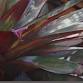 July Art Exhibit- Opening Reception — DubHub