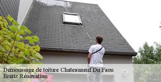 Specialiste En Demoussage De Toiture A Chateauneuf Du Faou Tel 02 52 56 32 34