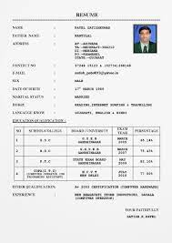 Download contoh resume bahasa melayu free. Contoh Resume Bahasa Melayu Untuk Lepasan Spm Would You Give Someone Your Last Resume Sample