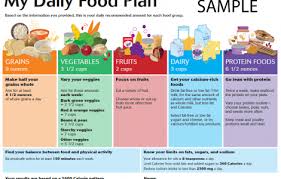 Daily Food Chart Template In 2019 Diet Plan Menu Dash