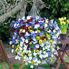 Kebutuhan pikeun apoték toko ékologis patali cardio tangtangan: Milih Hiji Pot Ditunda Pikeun Kembang