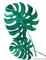 Free Botanical Posters House Trip Botanical Free House Posters Trip