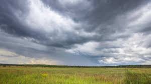 Sari.xo nudes she enjoys what she does performing and