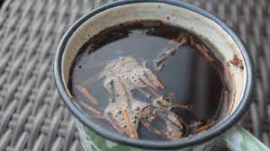 Manfaat air rebusan daun kelor jauh lebih besar ketimbang bayam ataupun manfaat daun kelor yang diolah dengan cara di sayur atau meminum air rebusannya terbukti mampu menurunkan kadar gula darah dengan cepat. Air Rebusan Daun Sul Turunkan Paras Kreatinin