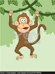Image result for monkey picture cartoon