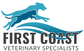 Emergency Vet Jacksonville Fl First Coast Veterinary Emergency Is An Animal Emergency Hospital Open On Nigh In 2020 Veterinary Veterinary Services Emergency Hospital