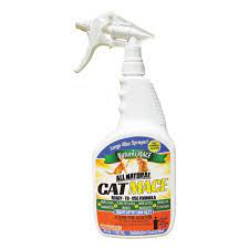 The 6 Best Cat Repellents Of 2021