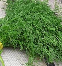 Usaha dagang usaha dagang kopi bubuk merek mycoffee melakukan pengecekan terhadap produk mereka, apakah. 13 Manfaat Daun Dill Untuk Kesehatan