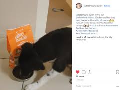 We'll also give you the facts to. Wholehearted Chicken And Pea Dog Food Product Review